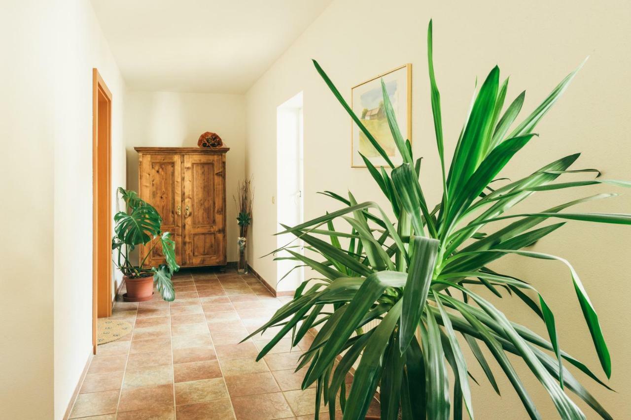 Gaestezimmer Sengstschmid Windhaag bei Freistadt Ngoại thất bức ảnh